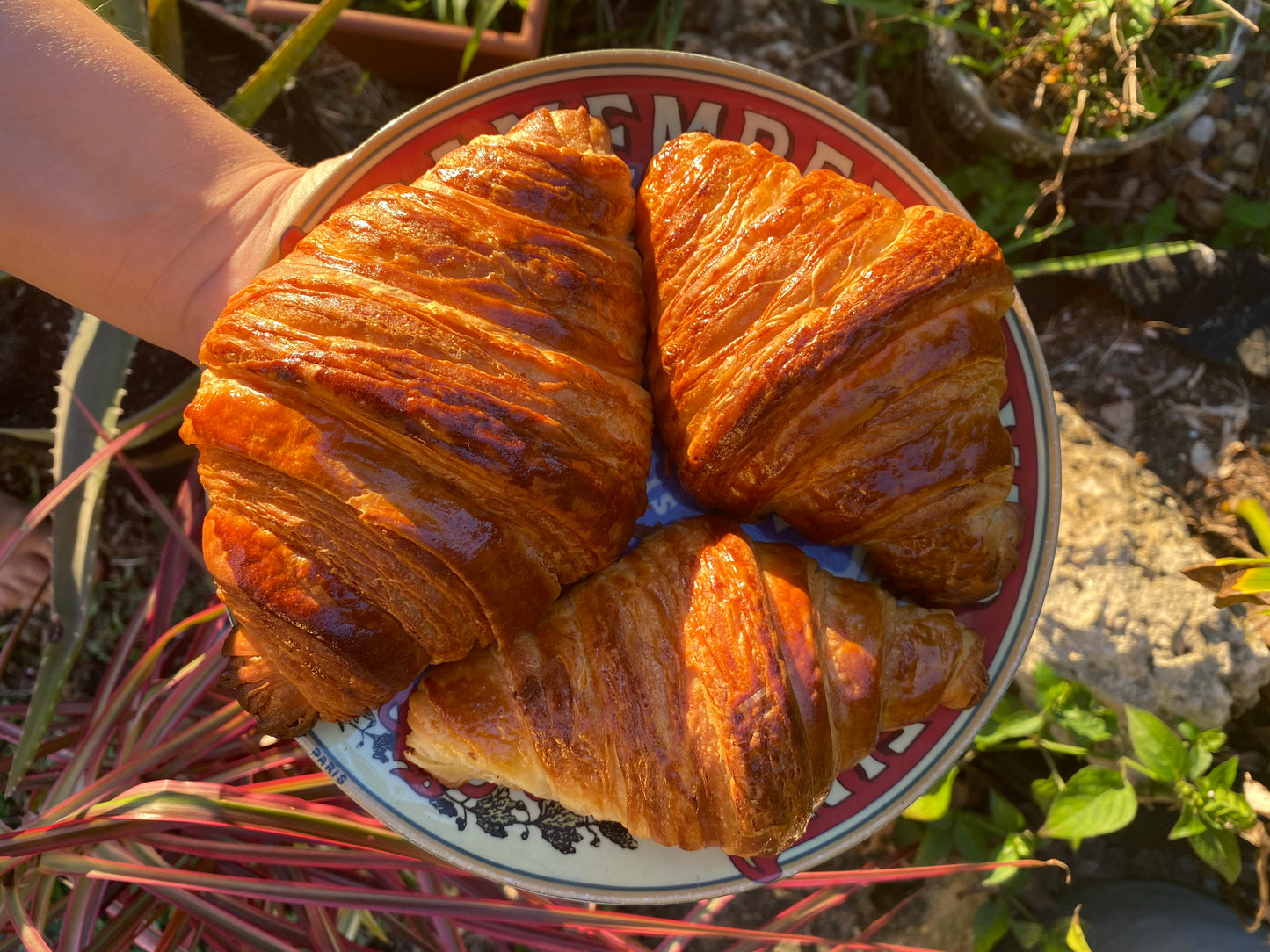 Dozen Croissants