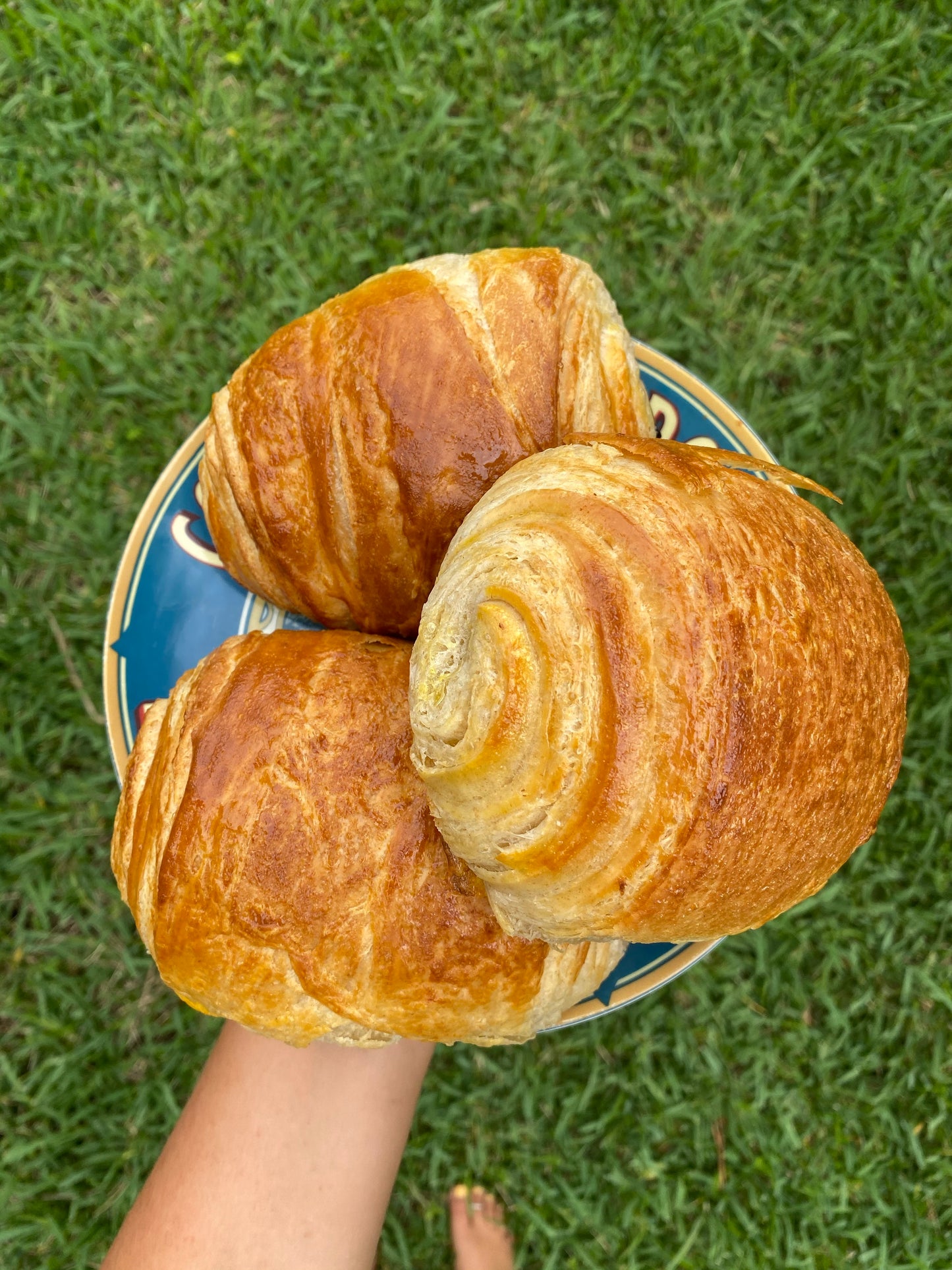 Dozen Croissants